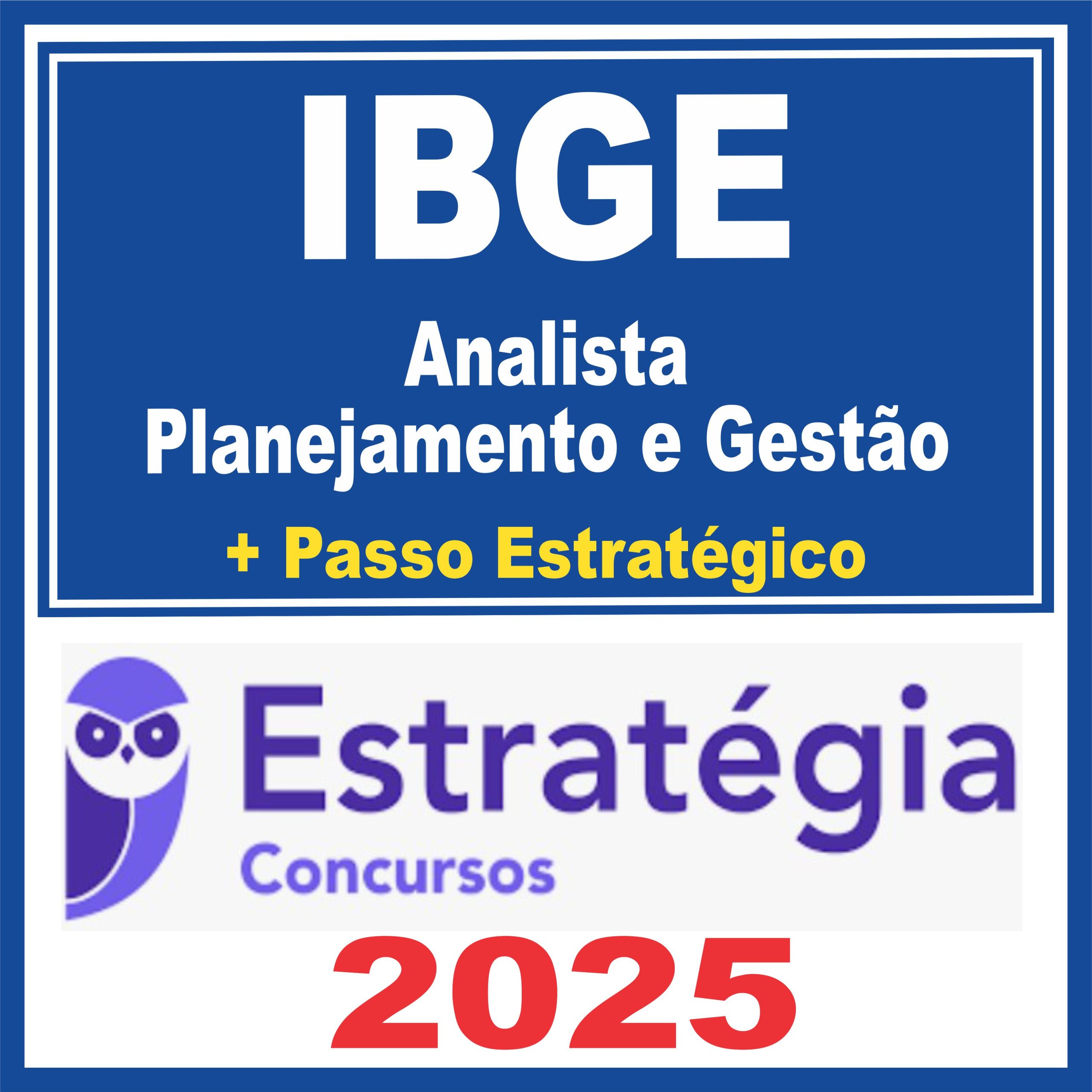 ibge-ana-plan-gest1